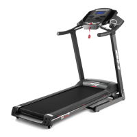 bh fitness pioneer r2 беговая дорожка