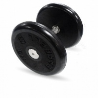 гантель классик с вращающейся ручкой хром 8 кг mb barbell mb-fdbem-b8